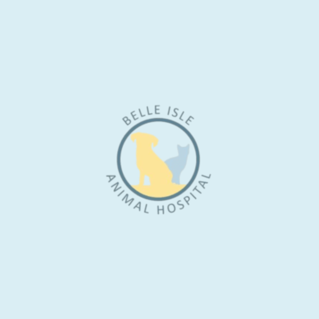light blue background behance social icon hotel icon dribbble social icon home birth dribbble icon blue ribbon light blue dribbble blitheful powder blue beige background bluebell abstract logo logo design clothing brand home medical care health backgrounds bluish minimalistic style